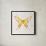 White Barn Butterflies IV by Sue Schlabach. Shown in a sleek black glass frame for a contemporary gallery look. Available as an archival giclee rolled canvas, fine art paper, or poster print. SKU 31773a.