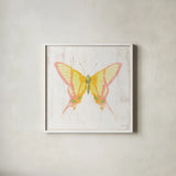 White Barn Butterflies IV by Sue Schlabach. Shown in a crisp white glass frame for a clean and minimalist style. Available as an archival giclee rolled canvas, fine art paper, or poster print. SKU 31773a.
