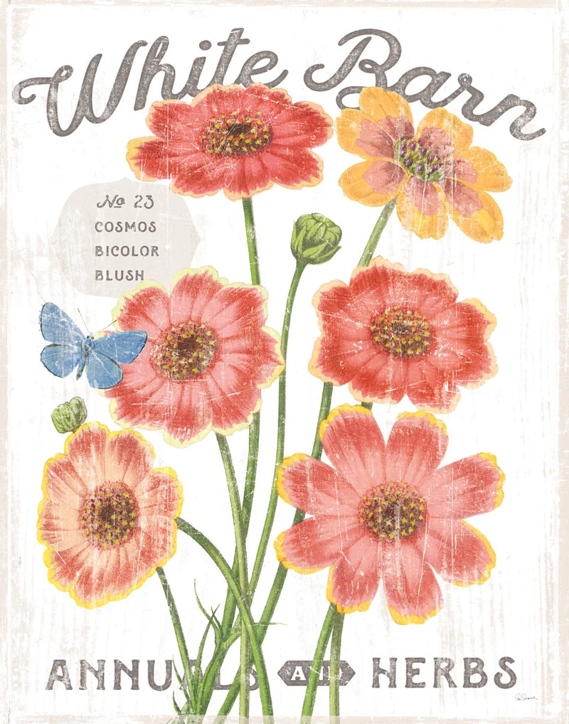 White Barn Flowers III by Sue Schlabach
