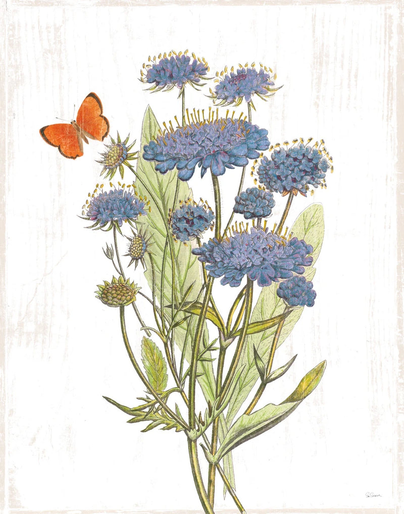 White Barn Flowers IX by Sue Schlabach