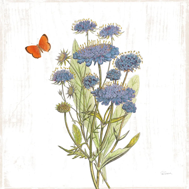 White Barn Flowers IX Sq by Sue Schlabach. SKU 56519a. Archival Giclee Fine art print for wall decor.