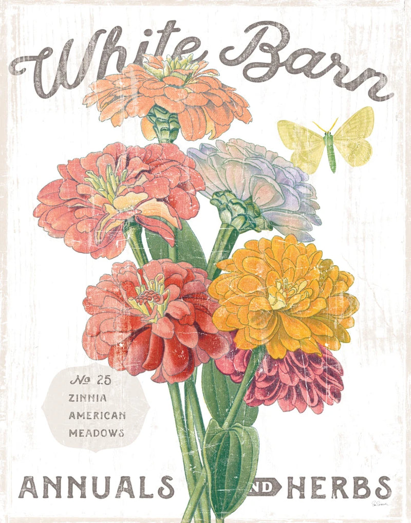 White Barn Flowers V by Sue Schlabach