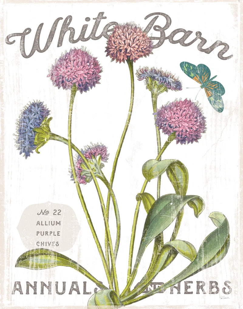 White Barn Flowers VI by Sue Schlabach