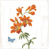 White Barn Flowers VII Sq by Sue Schlabach. SKU 56517a. Archival Giclee Fine art print for wall decor.