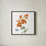 White Barn Flowers VII Sq by Sue Schlabach. Shown in a sleek black glass frame for a contemporary gallery look. Available as an archival giclee rolled canvas, fine art paper, or poster print. SKU 56517a.