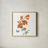 White Barn Flowers VII Sq by Sue Schlabach. Shown in a natural wood glass frame for a timeless modern aesthetic. Available as an archival giclee rolled canvas, fine art paper, or poster print. SKU 56517a.