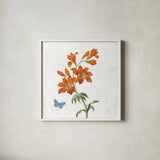 White Barn Flowers VII Sq by Sue Schlabach. Shown in a crisp white glass frame for a clean and minimalist style. Available as an archival giclee rolled canvas, fine art paper, or poster print. SKU 56517a.