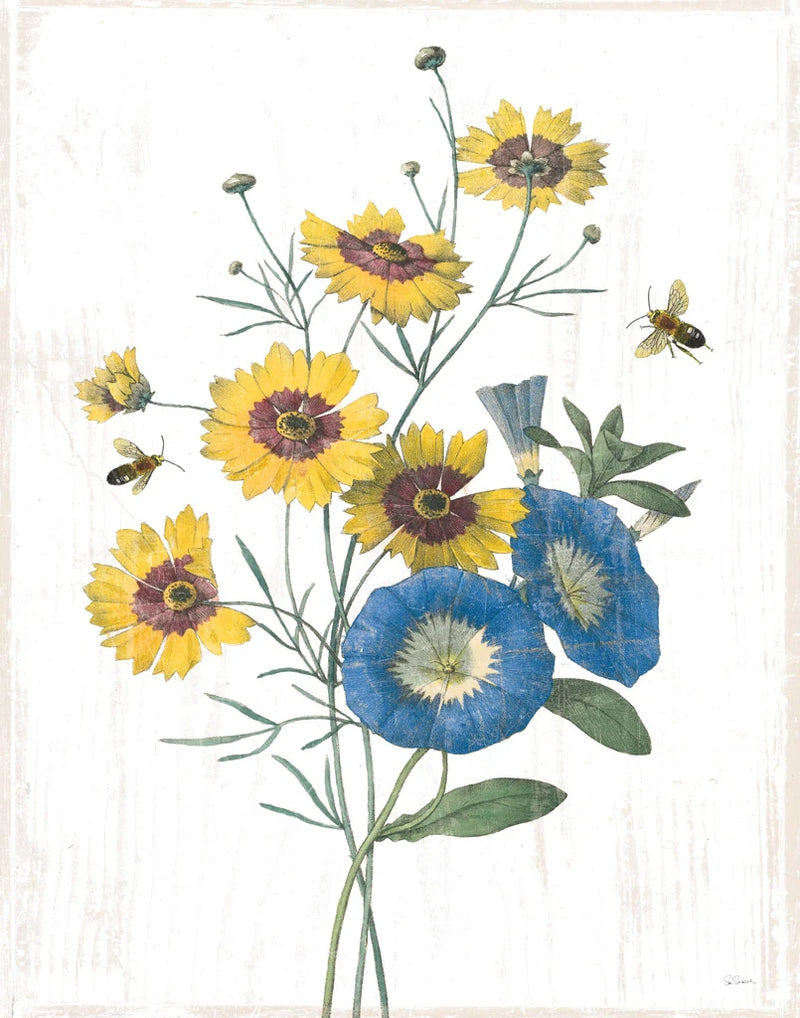White Barn Flowers VIII by Sue Schlabach