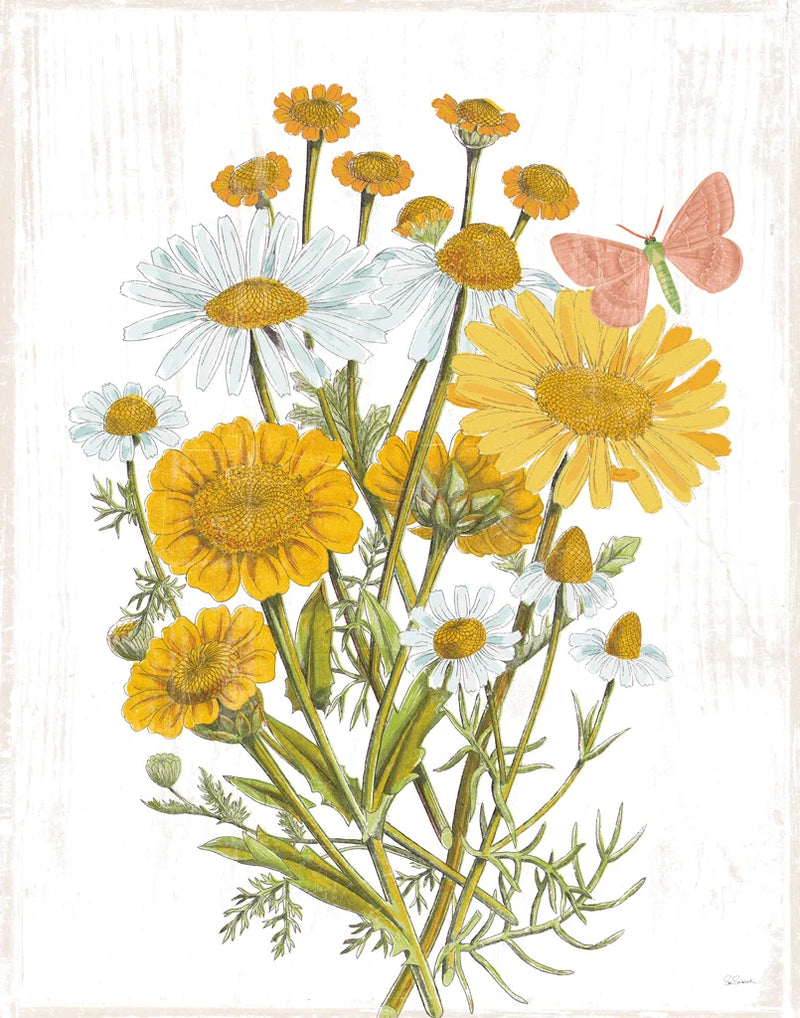 White Barn Flowers X by Sue Schlabach