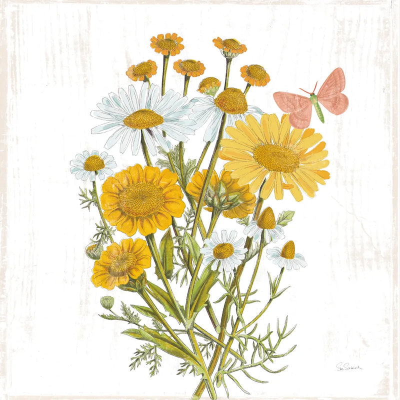 White Barn Flowers X Sq by Sue Schlabach. SKU 56520a. Archival Giclee Fine art print for wall decor.