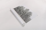 Winter Pines by Sue Schlabach. shown as a rolled paper print. Available as archival giclee rolled canvas, fine art paper, or poster print. SKU 60934i.