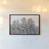 Winter Pines by Sue Schlabach. shown as a paper print in a black flame. Available as a archival giclee rolled canvas, fine art paper, or poster print. SKU 60934i.