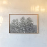 Winter Pines by Sue Schlabach. shown as a paper print in a natural frame. Available as a archival giclee rolled canvas, fine art paper, or poster print. SKU 60934i.