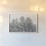 Winter Pines by Sue Schlabach. shown as a paper print in a white frame. Available as a archival giclee rolled canvas, fine art paper, or poster print. SKU 60934i.