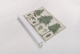 Woodland Chart I by Sue Schlabach. shown as a rolled paper print. Available as archival giclee rolled canvas, fine art paper, or poster print. SKU 22246i.