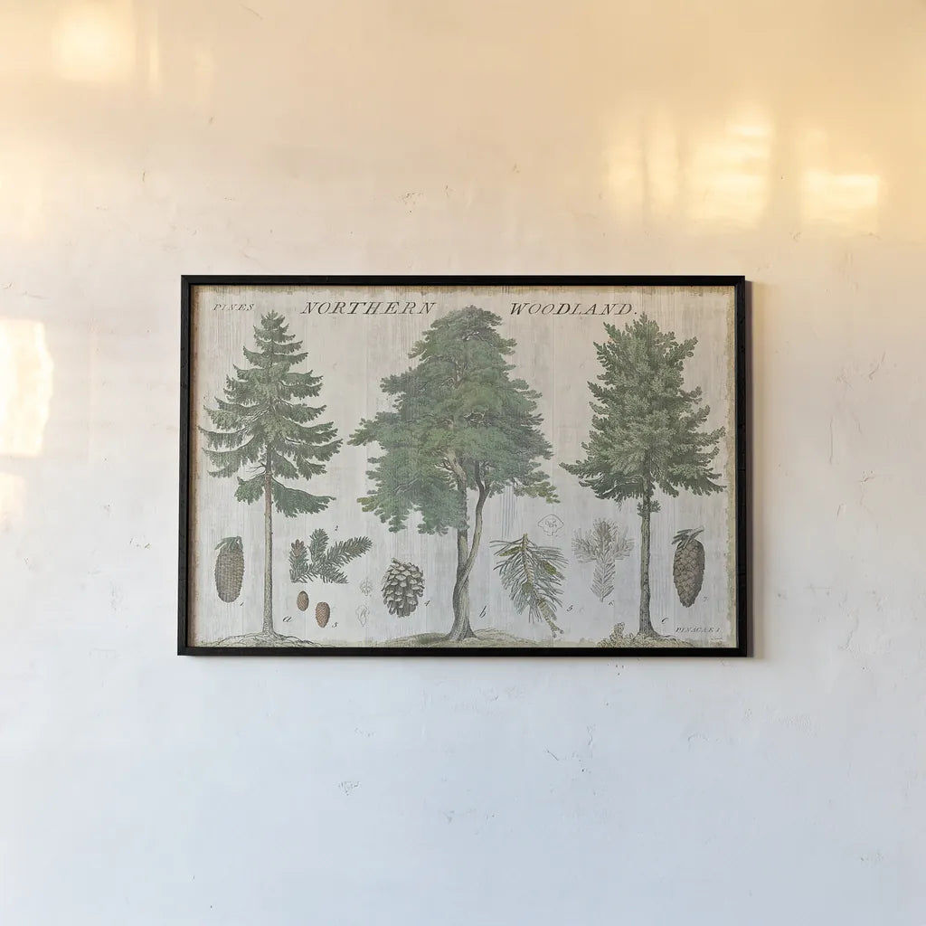 Woodland Chart I by Sue Schlabach. shown as a paper print in a black flame. Available as a archival giclee rolled canvas, fine art paper, or poster print. SKU 22246i.
