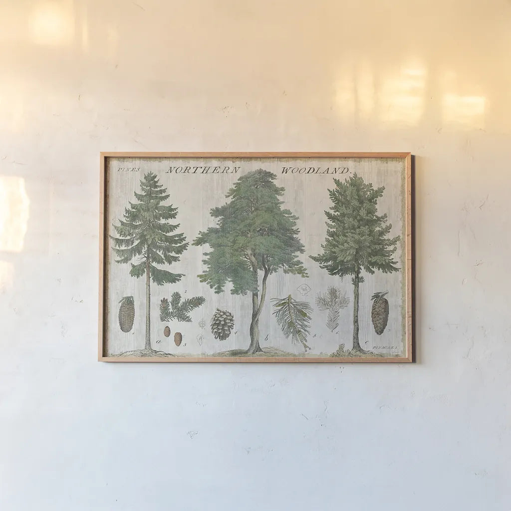 Woodland Chart I by Sue Schlabach. shown as a paper print in a natural frame. Available as a archival giclee rolled canvas, fine art paper, or poster print. SKU 22246i.