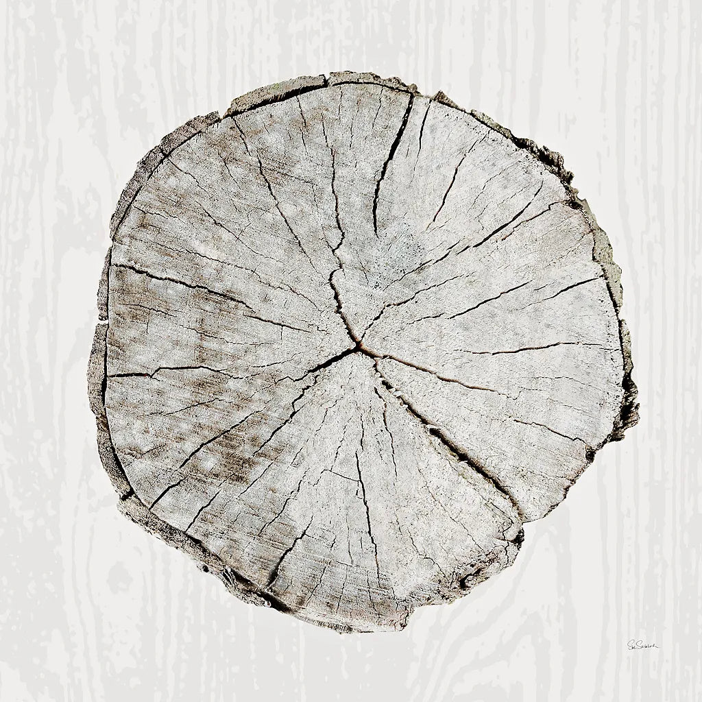 Woodland Years I by Sue Schlabach. SKU 21823a. Archival Giclee Fine art print for wall decor.