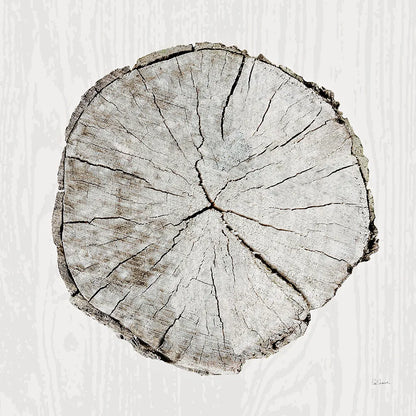 Woodland Years I by Sue Schlabach. SKU 21823a. Archival Giclee Fine art print for wall decor.