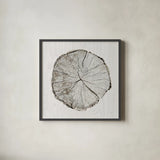 Woodland Years I by Sue Schlabach. Shown in a sleek black glass frame for a contemporary gallery look. Available as an archival giclee rolled canvas, fine art paper, or poster print. SKU 21823a.