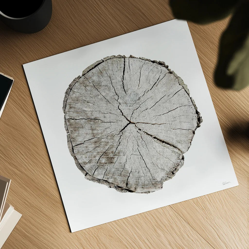 Woodland Years I on White by Sue Schlabach. Shown as a detailed flat fine art print, highlighting archival giclee quality. Available as an archival giclee rolled canvas, fine art paper, or poster print. SKU 29879a.