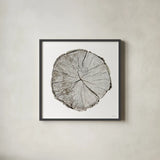 Woodland Years I on White by Sue Schlabach. Shown in a sleek black glass frame for a contemporary gallery look. Available as an archival giclee rolled canvas, fine art paper, or poster print. SKU 29879a.