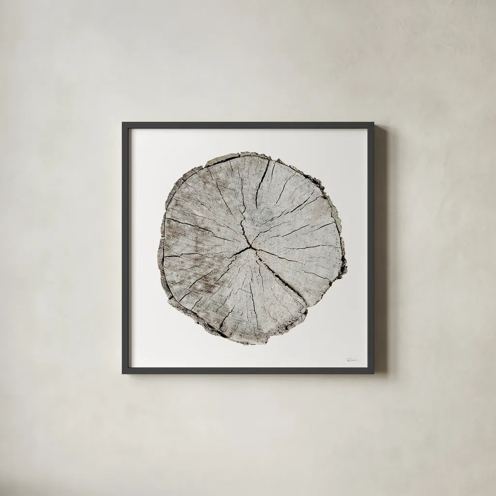 Woodland Years I on White by Sue Schlabach. Shown in a sleek black glass frame for a contemporary gallery look. Available as an archival giclee rolled canvas, fine art paper, or poster print. SKU 29879a.