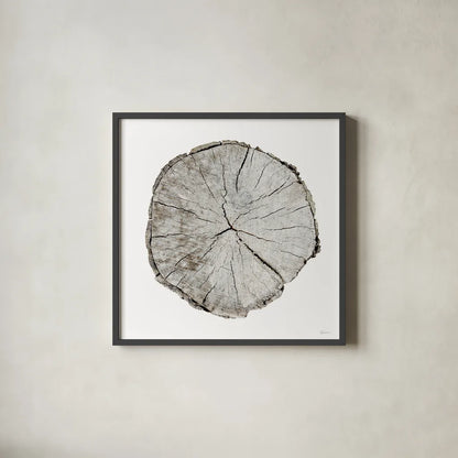 Woodland Years I on White by Sue Schlabach. Shown in a sleek black glass frame for a contemporary gallery look. Available as an archival giclee rolled canvas, fine art paper, or poster print. SKU 29879a.