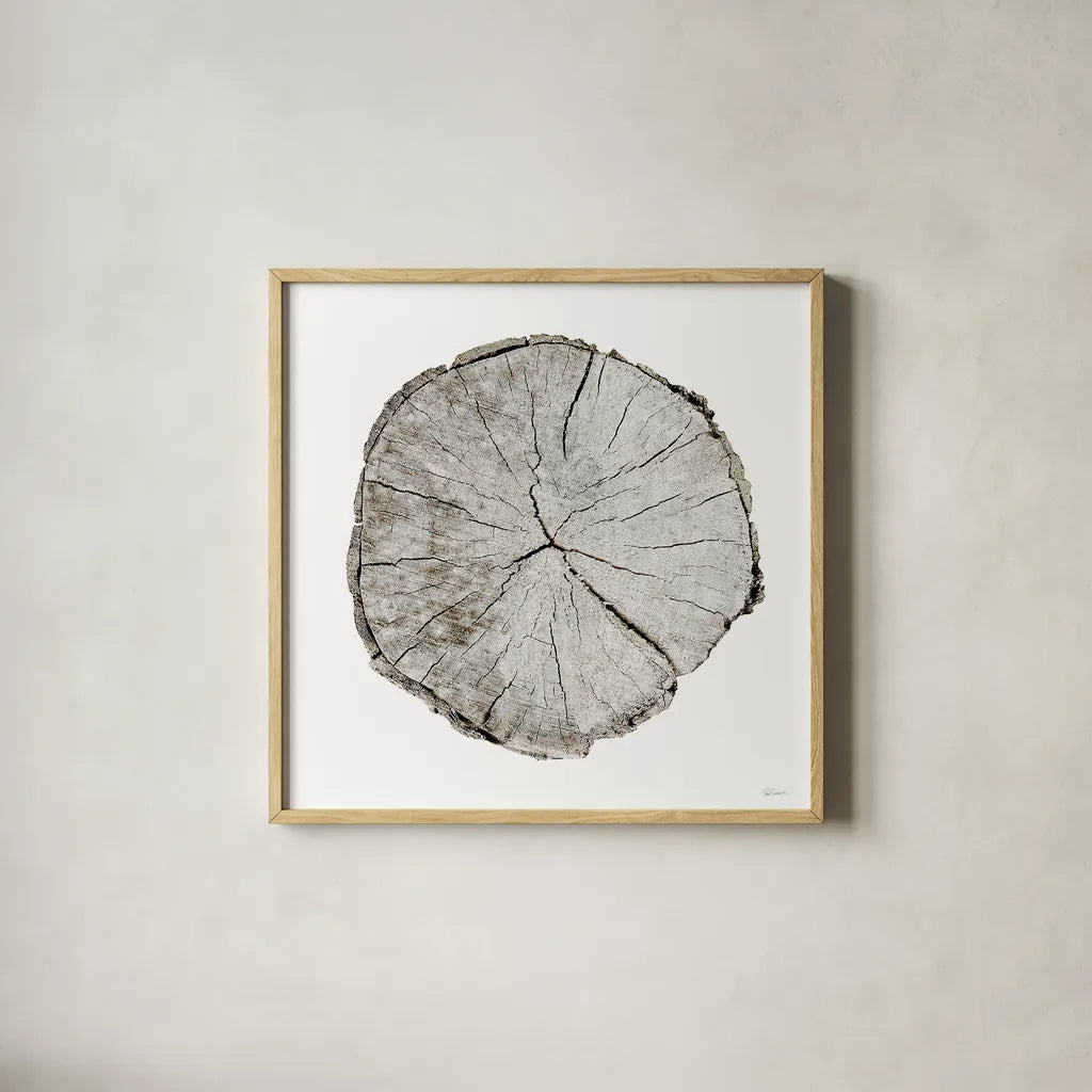 Woodland Years I on White by Sue Schlabach. Shown in a natural wood glass frame for a timeless modern aesthetic. Available as an archival giclee rolled canvas, fine art paper, or poster print. SKU 29879a.