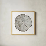 Woodland Years I on White by Sue Schlabach. Shown in a natural wood glass frame for a timeless modern aesthetic. Available as an archival giclee rolled canvas, fine art paper, or poster print. SKU 29879a.