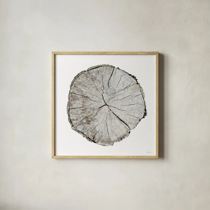 Woodland Years I on White by Sue Schlabach. Shown in a natural wood glass frame for a timeless modern aesthetic. Available as an archival giclee rolled canvas, fine art paper, or poster print. SKU 29879a.