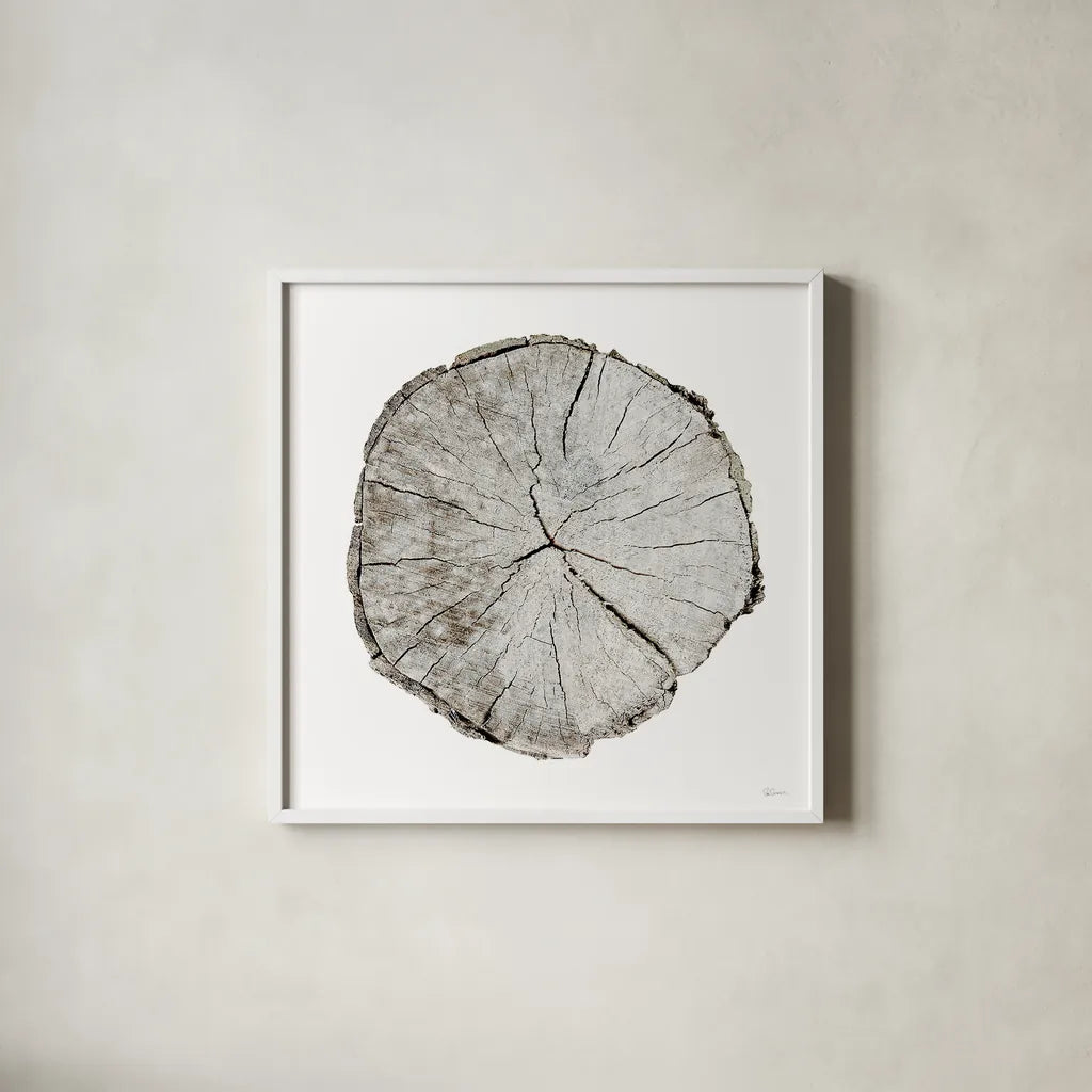 Woodland Years I on White by Sue Schlabach. Shown in a crisp white glass frame for a clean and minimalist style. Available as an archival giclee rolled canvas, fine art paper, or poster print. SKU 29879a.