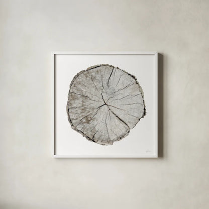 Woodland Years I on White by Sue Schlabach. Shown in a crisp white glass frame for a clean and minimalist style. Available as an archival giclee rolled canvas, fine art paper, or poster print. SKU 29879a.