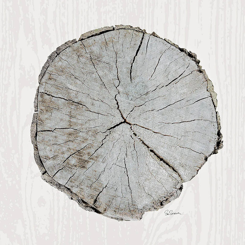Woodland Years I with Silver v2 by Sue Schlabach. SKU 26781a. Archival Giclee Fine art print for wall decor.