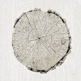 Woodland Years II by Sue Schlabach. SKU 21824a. Archival Giclee Fine art print for wall decor.