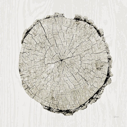 Woodland Years II by Sue Schlabach. SKU 21824a. Archival Giclee Fine art print for wall decor.