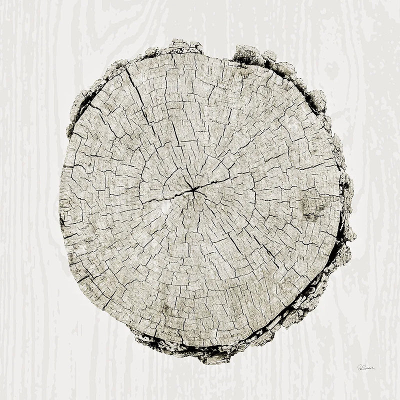 Woodland Years II by Sue Schlabach. SKU 21824a. Archival Giclee Fine art print for wall decor.