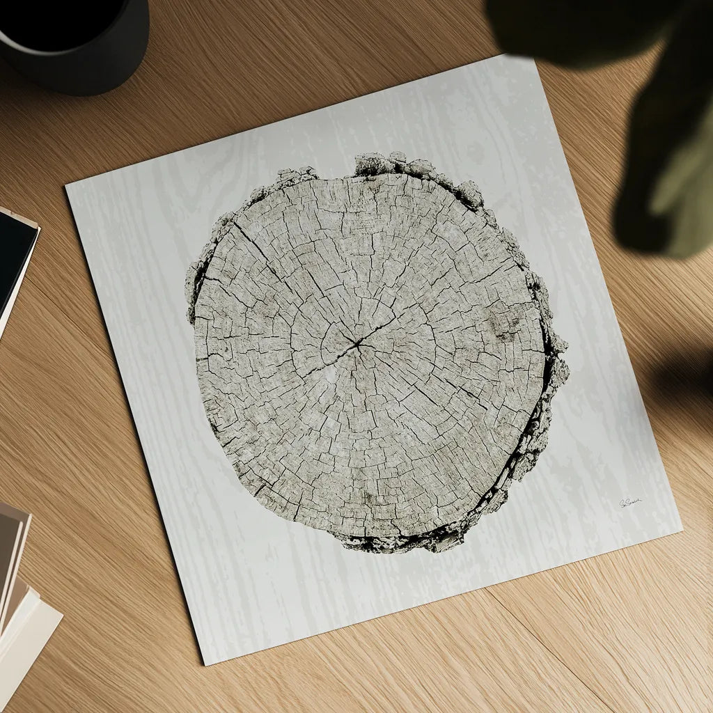 Woodland Years II by Sue Schlabach. Shown as a detailed flat fine art print, highlighting archival giclee quality. Available as an archival giclee rolled canvas, fine art paper, or poster print. SKU 21824a.