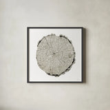 Woodland Years II on White by Sue Schlabach. Shown in a sleek black glass frame for a contemporary gallery look. Available as an archival giclee rolled canvas, fine art paper, or poster print. SKU 29880a.