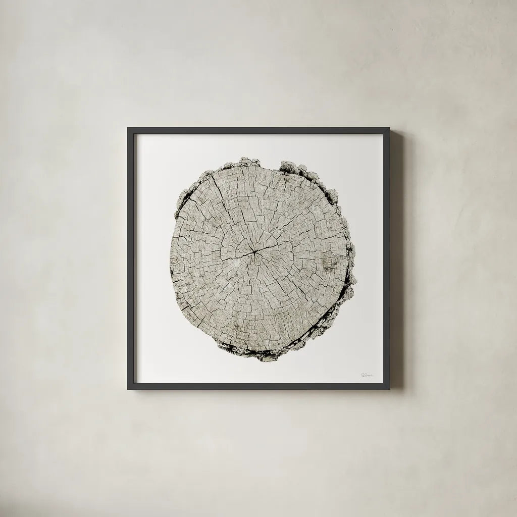 Woodland Years II on White by Sue Schlabach. Shown in a sleek black glass frame for a contemporary gallery look. Available as an archival giclee rolled canvas, fine art paper, or poster print. SKU 29880a.