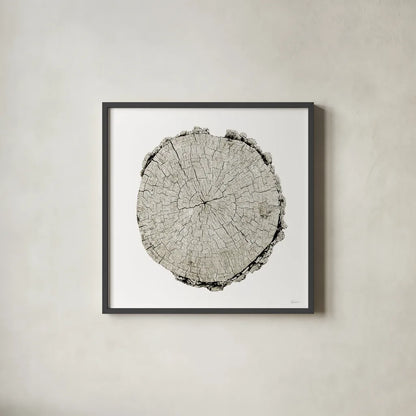 Woodland Years II on White by Sue Schlabach. Shown in a sleek black glass frame for a contemporary gallery look. Available as an archival giclee rolled canvas, fine art paper, or poster print. SKU 29880a.