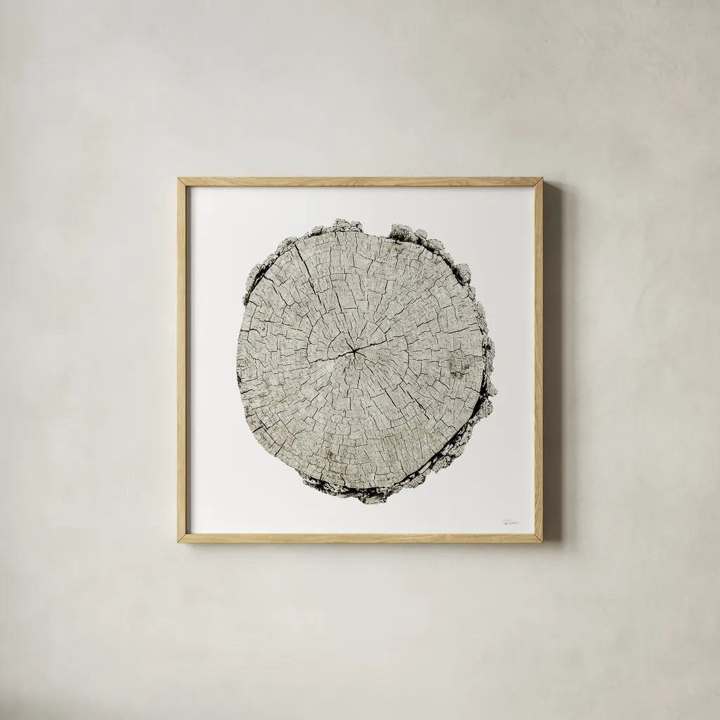 Woodland Years II on White by Sue Schlabach. Shown in a natural wood glass frame for a timeless modern aesthetic. Available as an archival giclee rolled canvas, fine art paper, or poster print. SKU 29880a.