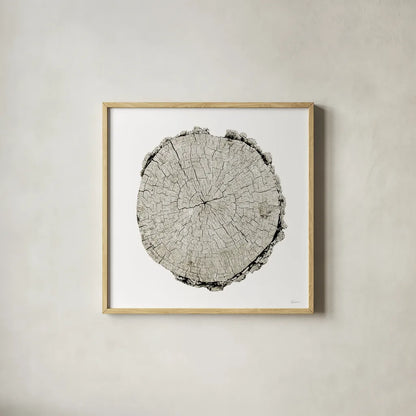 Woodland Years II on White by Sue Schlabach. Shown in a natural wood glass frame for a timeless modern aesthetic. Available as an archival giclee rolled canvas, fine art paper, or poster print. SKU 29880a.