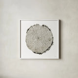Woodland Years II on White by Sue Schlabach. Shown in a crisp white glass frame for a clean and minimalist style. Available as an archival giclee rolled canvas, fine art paper, or poster print. SKU 29880a.