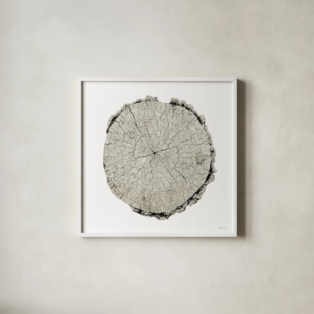 Woodland Years II on White by Sue Schlabach. Shown in a crisp white glass frame for a clean and minimalist style. Available as an archival giclee rolled canvas, fine art paper, or poster print. SKU 29880a.