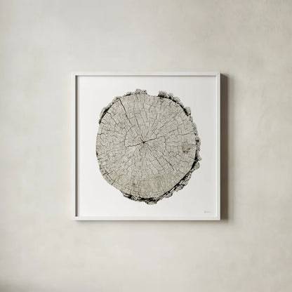 Woodland Years II on White by Sue Schlabach. Shown in a crisp white glass frame for a clean and minimalist style. Available as an archival giclee rolled canvas, fine art paper, or poster print. SKU 29880a.