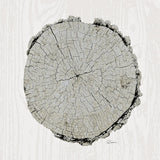 Woodland Years II with Silver v2 by Sue Schlabach. SKU 26782a. Archival Giclee Fine art print for wall decor.