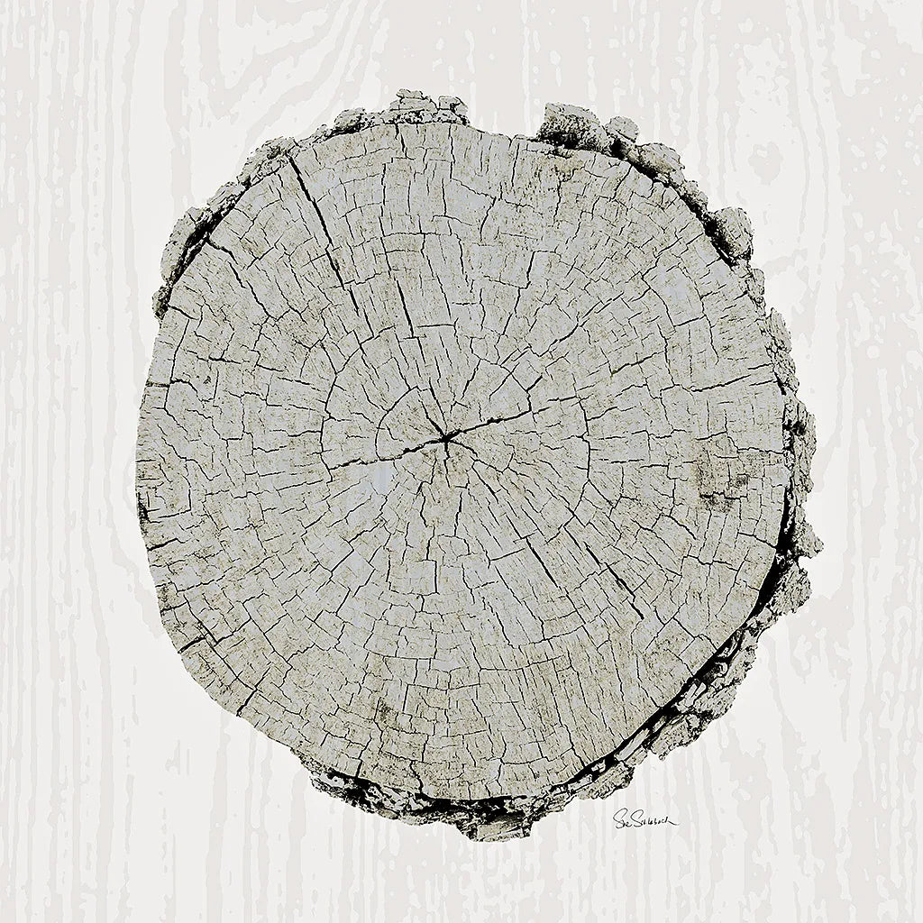 Woodland Years II with Silver v2 by Sue Schlabach. SKU 26782a. Archival Giclee Fine art print for wall decor.