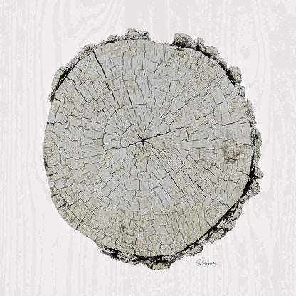 Woodland Years II with Silver v2 by Sue Schlabach. SKU 26782a. Archival Giclee Fine art print for wall decor.