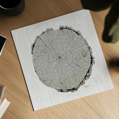 Woodland Years II with Silver v2 by Sue Schlabach. Shown as a detailed flat fine art print, highlighting archival giclee quality. Available as an archival giclee rolled canvas, fine art paper, or poster print. SKU 26782a.